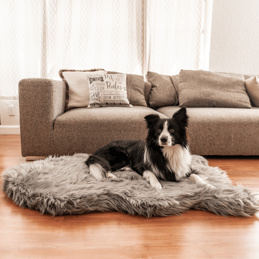 PupRug by Paw.com® Faux Fur Orthopedic Dog Bed - Curve Charcoal Grey - Large (50" L x 30" W) - Dog Beds by Paw.com