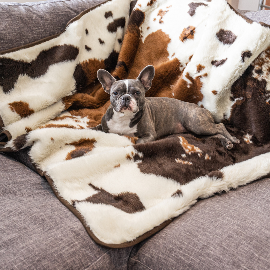 PupProtector™ Waterproof Throw Blanket - Brown Faux Cowhide - - Dog Blanket by Paw.com