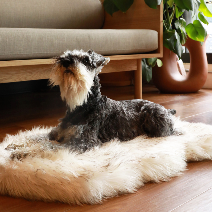 PupRug by Paw.com® Faux Fur Orthopedic Dog Bed - Curve White with Brown Accents - - Dog Beds by Paw.com