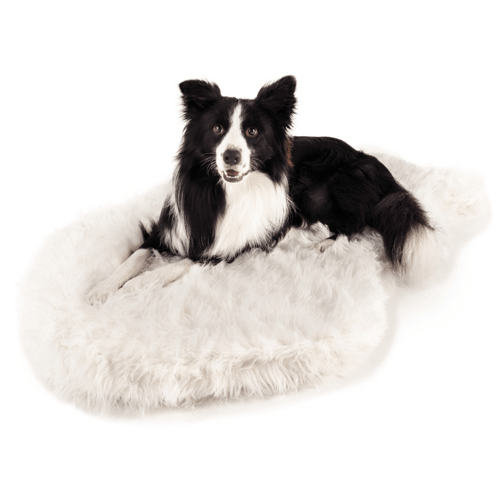 PupRug by Paw.com® Faux Fur Orthopedic Dog Bed - Curve Polar White - - Dog Beds by Paw.com