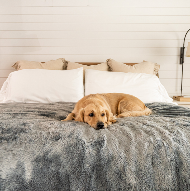 PupProtector™ Short Fur Waterproof Throw Blanket - Charcoal Grey - - Dog Blanket by Paw.com