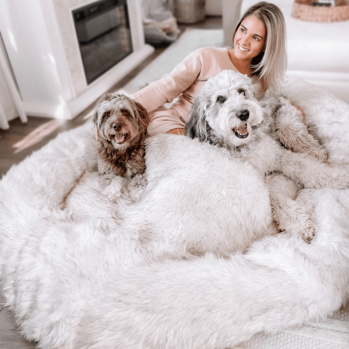 PupCloud™ Human-Size Faux Fur Memory Foam Dog Bed - White with Brown Accents - - by Paw.com