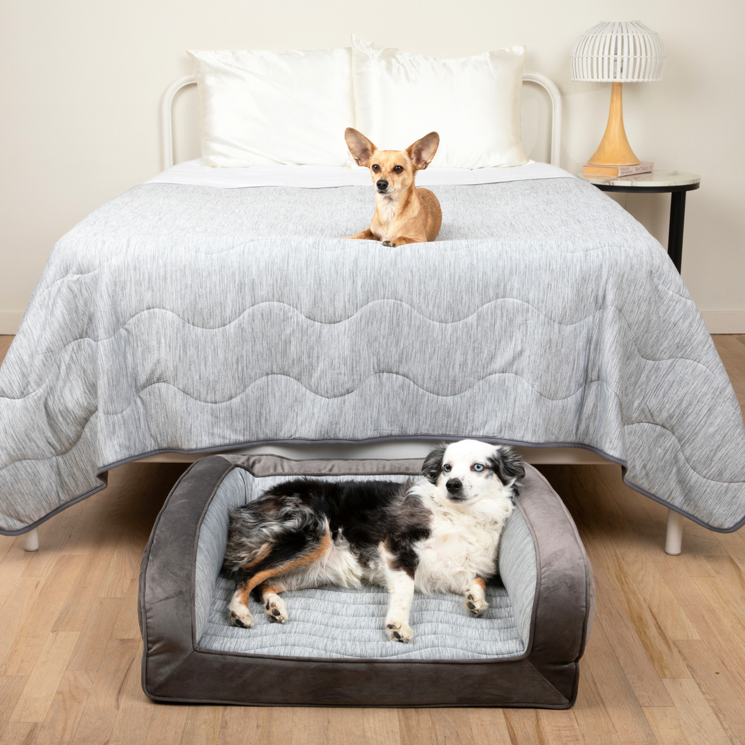 PupChill™ Cooling Bolster Dog Bed + Waterproof Blanket Bundle - Arctic Grey - Medium Bed (29" L x 24" W) + Large Blanket (60" L x 82" W) - by Paw.com
