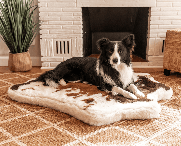 PupRug® Animal Print Memory Foam Dog Bed - Brown Faux Cowhide - - Dog Beds by Paw.com