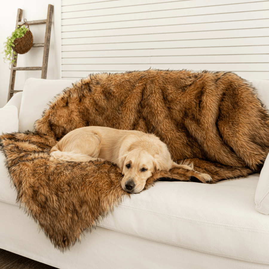 PupProtector™ Waterproof Throw Blanket - Sable Tan - Original (60"L x 50"W) - Dog Blanket by Paw.com
