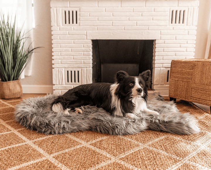 PupRug by Paw.com® Faux Fur Orthopedic Dog Bed - Curve Charcoal Grey - - Dog Beds by Paw.com