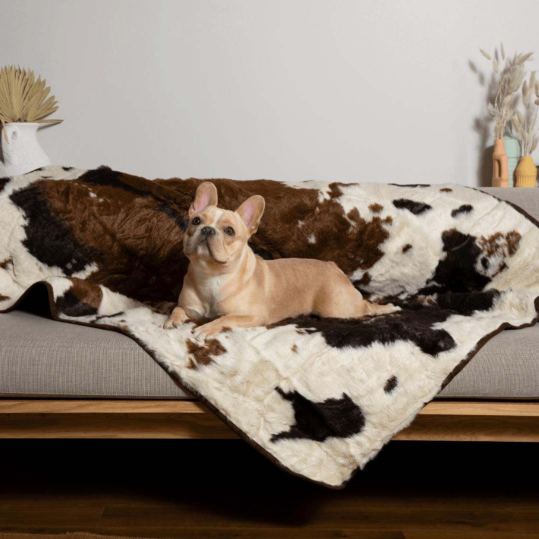 PupProtector™ Waterproof Throw Blanket - Brown Faux Cowhide - - Dog Blanket by Paw.com