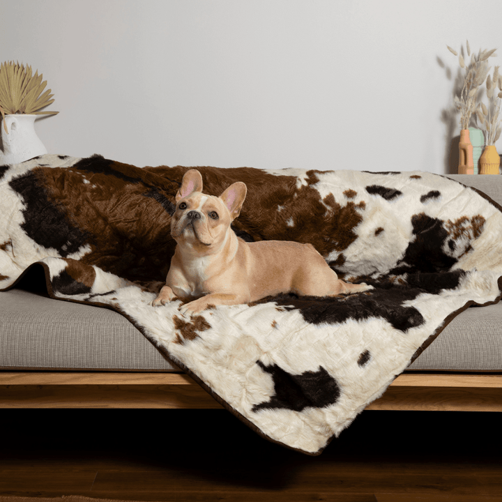 PupProtector™ Waterproof Throw Blanket - Brown Faux Cowhide - - Dog Blanket by Paw.com