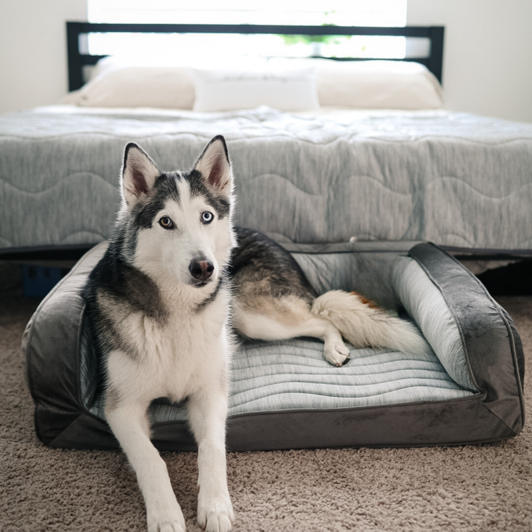 PupChill™ Cooling Bolster Dog Bed + Waterproof Blanket Bundle - Arctic Grey - - by Paw.com