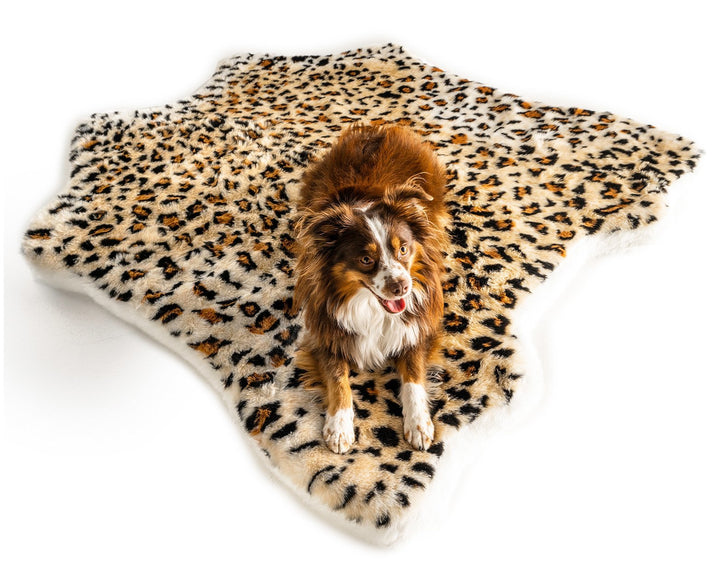 PupRug™ Animal Print Memory Foam Dog Bed - Cheetah Faux Print - - Today by Paw.com
