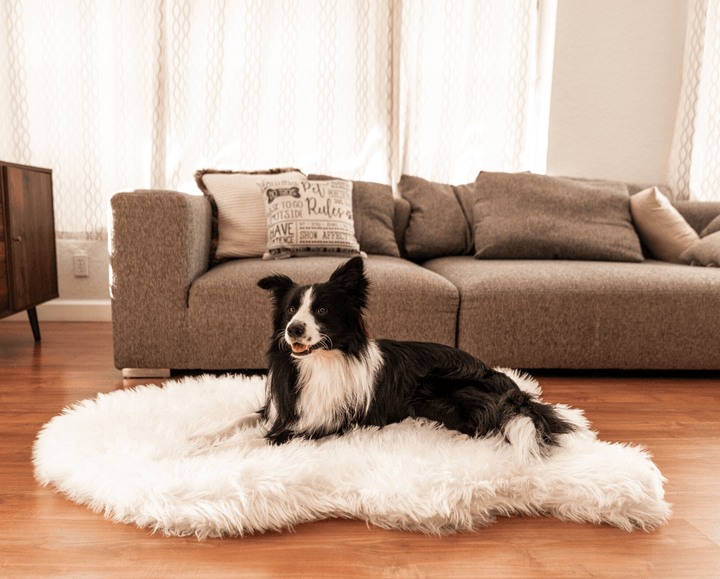 PupRug by Paw.com® Faux Fur Orthopedic Dog Bed - Curve Polar White - - Dog Beds by Paw.com