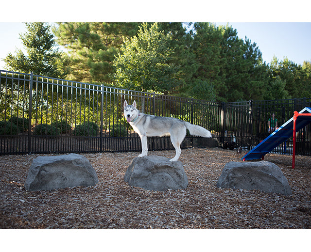 BarkPark Stepping Stones - - by BarkPark