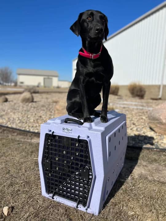 RuffLand X-Large Kennel - - Dog crates by Ruff Land Performance Kennels