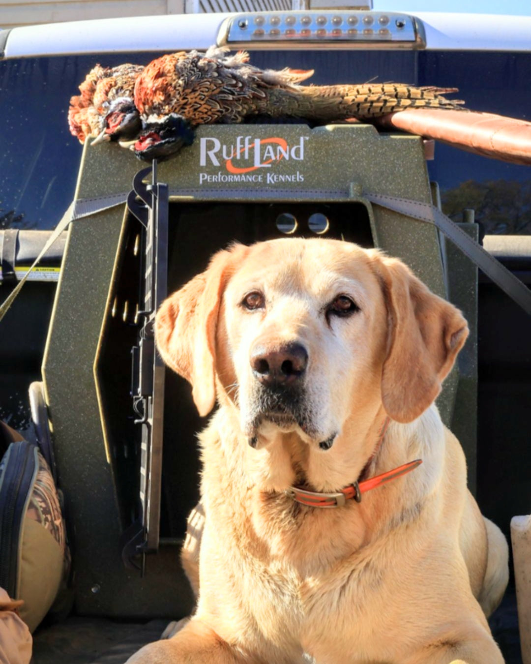RuffLand X-Large Kennel - - Dog crates by Ruff Land Performance Kennels