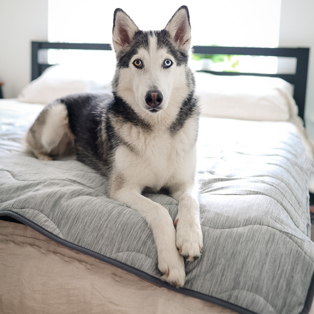 PupChill™ Cooling Waterproof Blanket - Arctic Grey - - by Paw.com