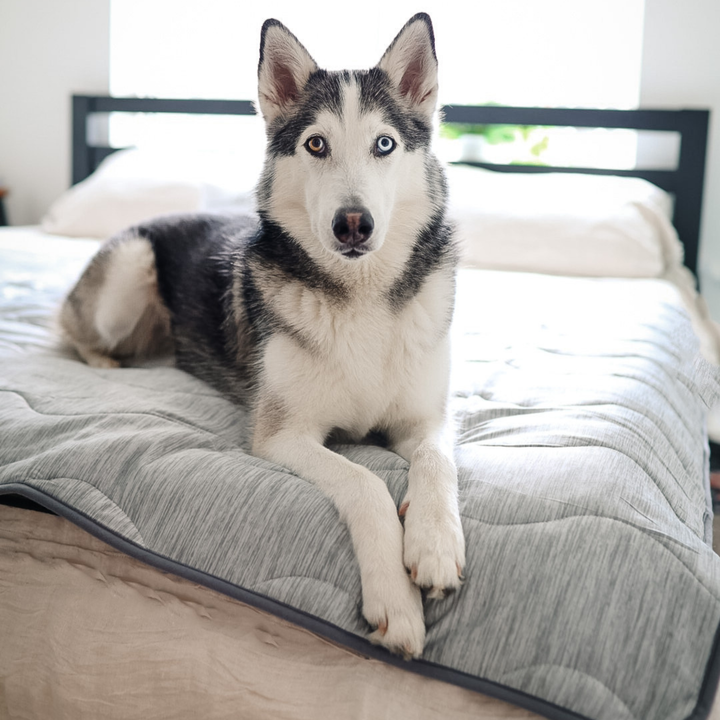 PupChill™ Cooling Waterproof Blanket - Arctic Grey - - by Paw.com