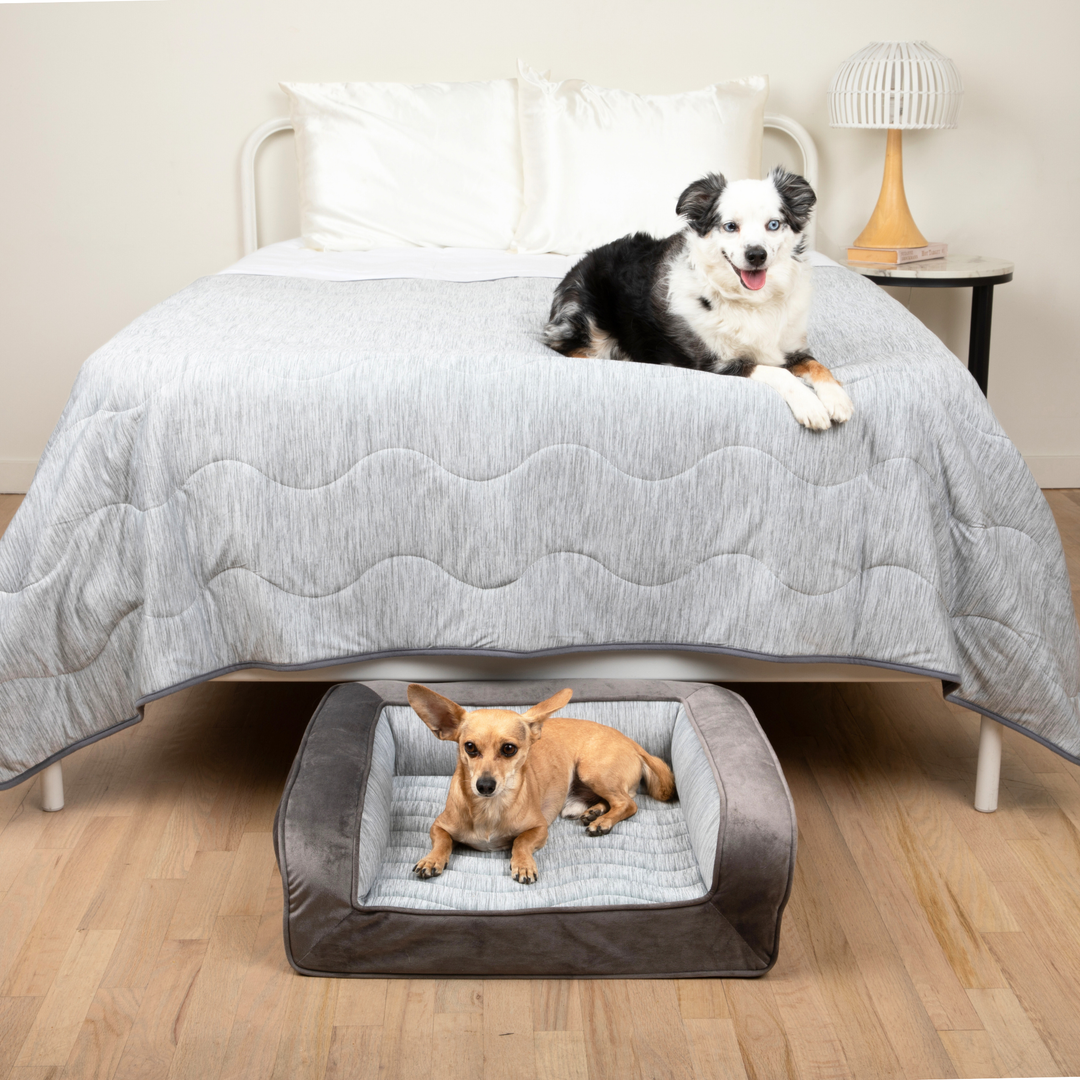 PupChill™ Cooling Bolster Dog Bed + Waterproof Blanket Bundle - Arctic Grey - Small Bed (24" L x 20" W) + Large Blanket (60" L x 82" W) - by Paw.com