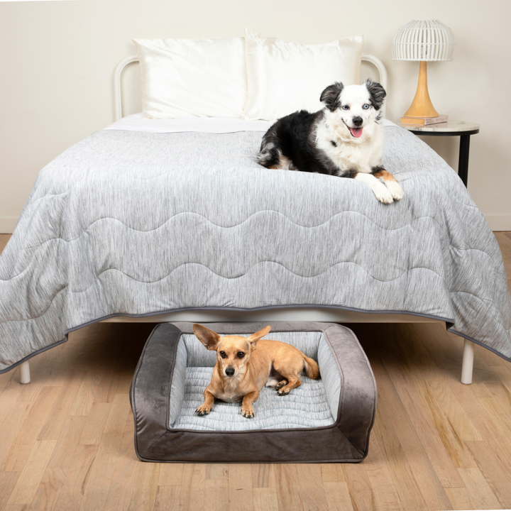 PupChill™ Cooling Bolster Dog Bed + Waterproof Blanket Bundle - Arctic Grey - Small Bed (24" L x 20" W) + Large Blanket (60" L x 82" W) - by Paw.com