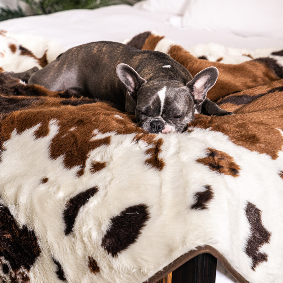 PupProtector™ Waterproof Throw Blanket - Brown Faux Cowhide - - Dog Blanket by Paw.com