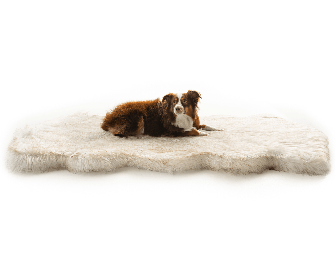 PupRug® Runner Faux Fur Memory Foam Dog Bed - Curve White with Brown Accents - - Dog Beds by Paw.com