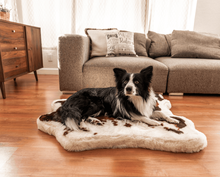 PupRug® Animal Print Memory Foam Dog Bed - Brown Faux Cowhide - - Dog Beds by Paw.com