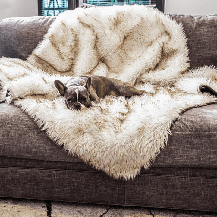 PupProtector™ Waterproof Throw Blanket - White with Brown Accents - - Dog Blanket by Paw.com