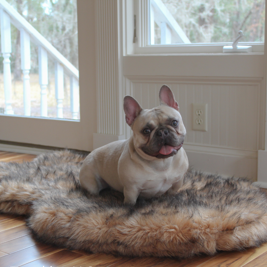 PupRug by Paw.com® Faux Fur Orthopedic Dog Bed - Curve Sable Tan - - Dog Beds by Paw.com