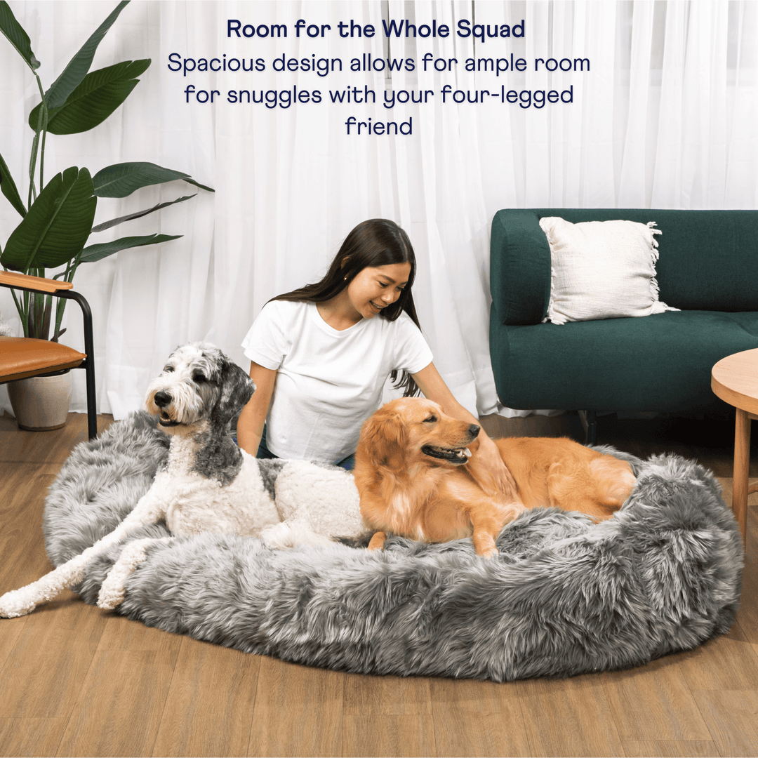 PupCloud™ Human-Size Faux Fur Memory Foam Dog Bed - Charcoal Grey - - by Paw.com