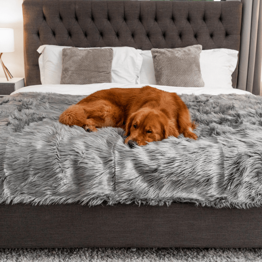 PupProtector™ Waterproof Throw Blanket - Charcoal Grey - - Dog Blanket by Paw.com