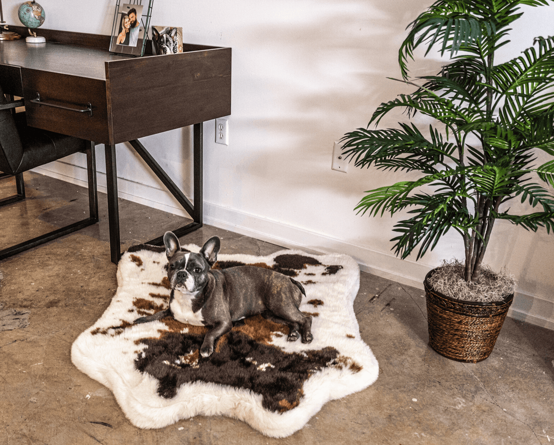 PupRug® Animal Print Memory Foam Dog Bed - Brown Faux Cowhide - - Dog Beds by Paw.com