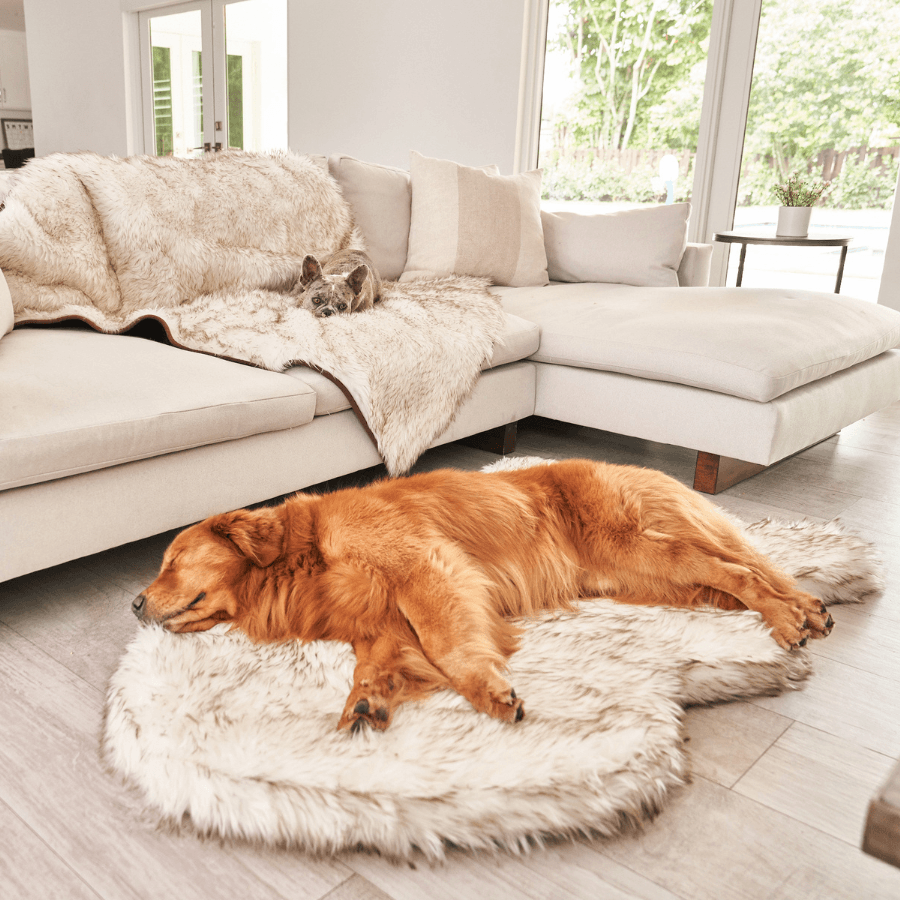 PupRug by Paw.com® Faux Fur Orthopedic Dog Bed - Curve White with Brown Accents - - Dog Beds by Paw.com
