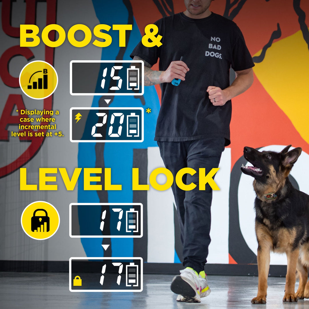 Dogtra Tom Davis Edition 280C 2.0 - - by Dogtra