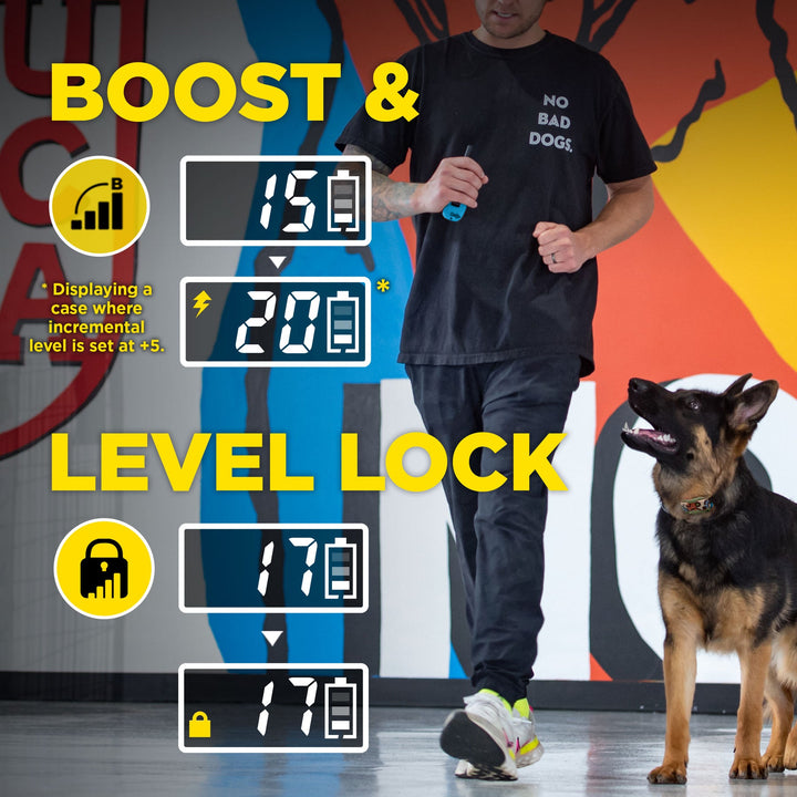 Dogtra Tom Davis Edition 280C 2.0 - - by Dogtra