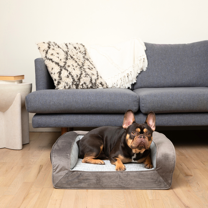 PupChill™ Cooling Bolster Dog Bed - - by Paw.com