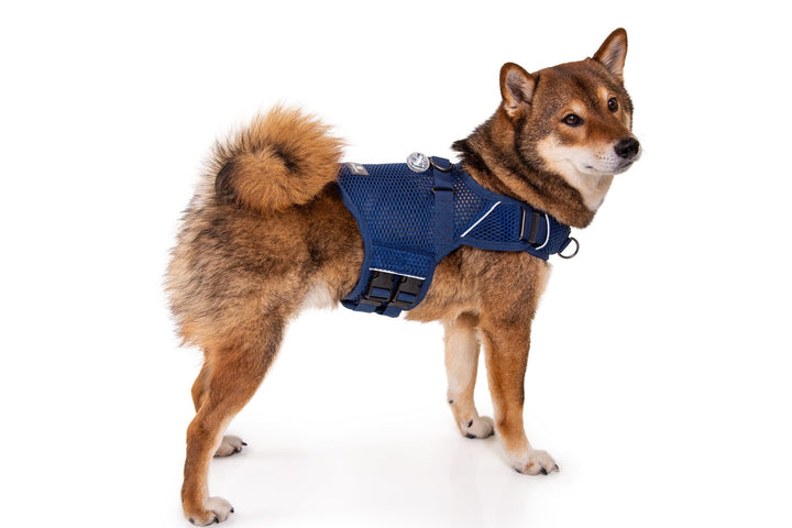 Sleepypod Martingale Dog Calming Harness - Midnight Blue Mesh - Harness by Sleepypod