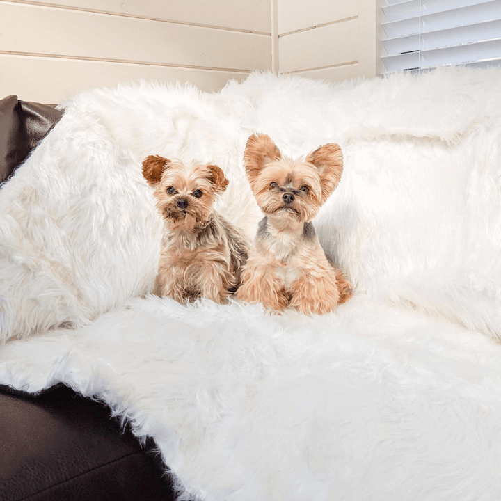 PupProtector™ Waterproof Throw Blanket - Polar White - - Dog Blanket by Paw.com