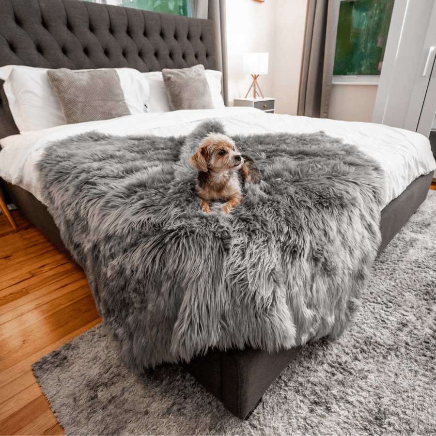 PupProtector™ Waterproof Throw Blanket - Charcoal Grey - - Dog Blanket by Paw.com