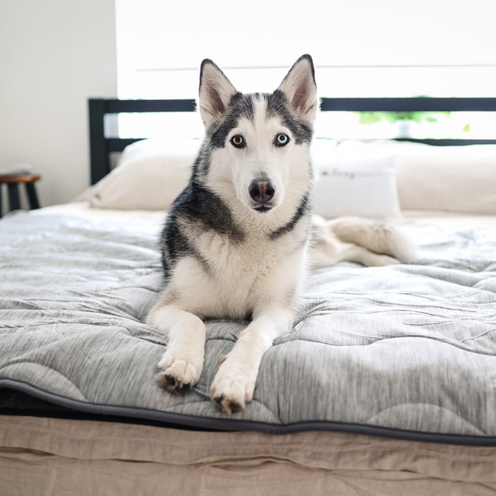 PupChill™ Cooling Waterproof Blanket - Arctic Grey - - by Paw.com