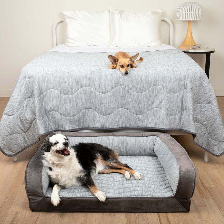 PupChill™ Cooling Bolster Dog Bed + Waterproof Blanket Bundle - Arctic Grey - Large Bed (35" L x 27" W) + Large Blanket (60" L x 82" W) - by Paw.com