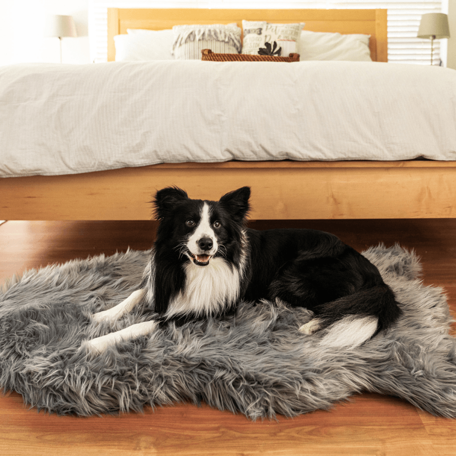 PupRug by Paw.com® Faux Fur Orthopedic Dog Bed - Curve Charcoal Grey - - Dog Beds by Paw.com