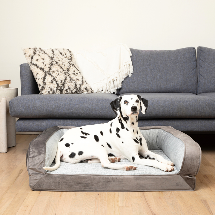 PupChill™ Cooling Bolster Dog Bed - Large (35" L x 27" W) - by Paw.com