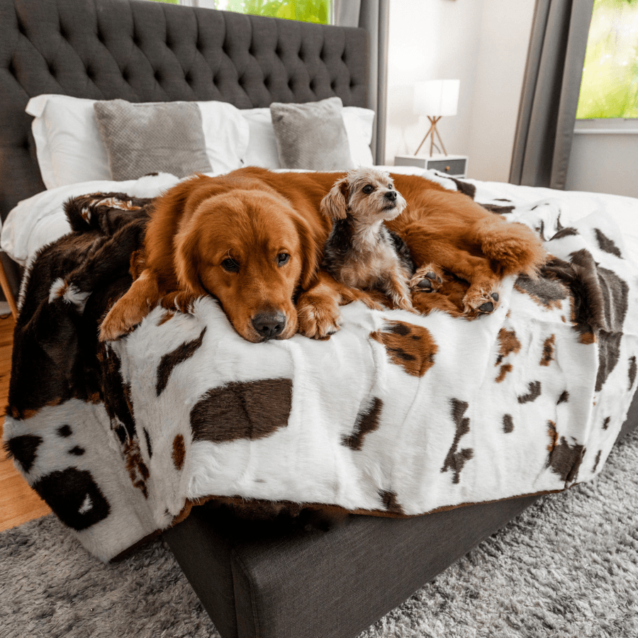PupProtector™ Waterproof Throw Blanket - Brown Faux Cowhide - - Dog Blanket by Paw.com
