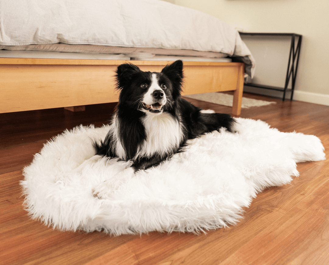 PupRug by Paw.com® Faux Fur Orthopedic Dog Bed - Curve Polar White - - Dog Beds by Paw.com