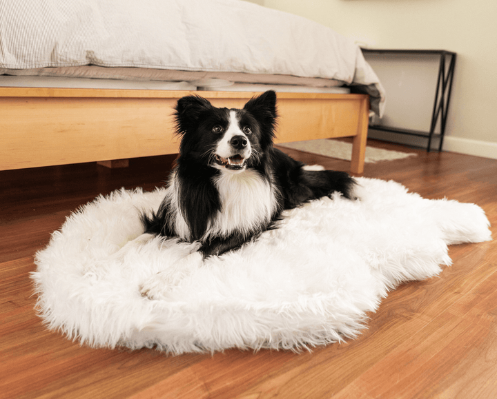 PupRug by Paw.com® Faux Fur Orthopedic Dog Bed - Curve Polar White - - Dog Beds by Paw.com