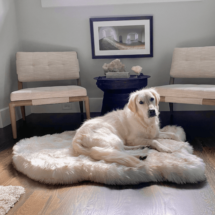 PupRug by Paw.com® Faux Fur Orthopedic Dog Bed - Curve White with Brown Accents - Large (50" L x 30" W) - Dog Beds by Paw.com