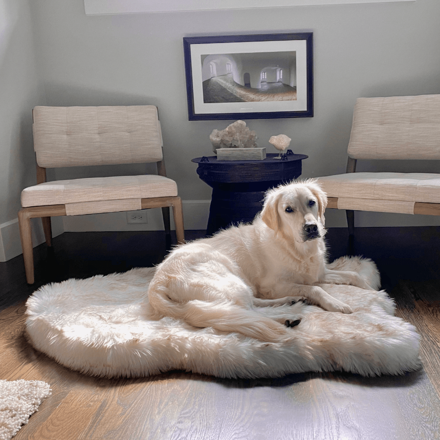 PupRug by Paw.com® Faux Fur Orthopedic Dog Bed - Curve White with Brown Accents - Large (50" L x 30" W) - Dog Beds by Paw.com