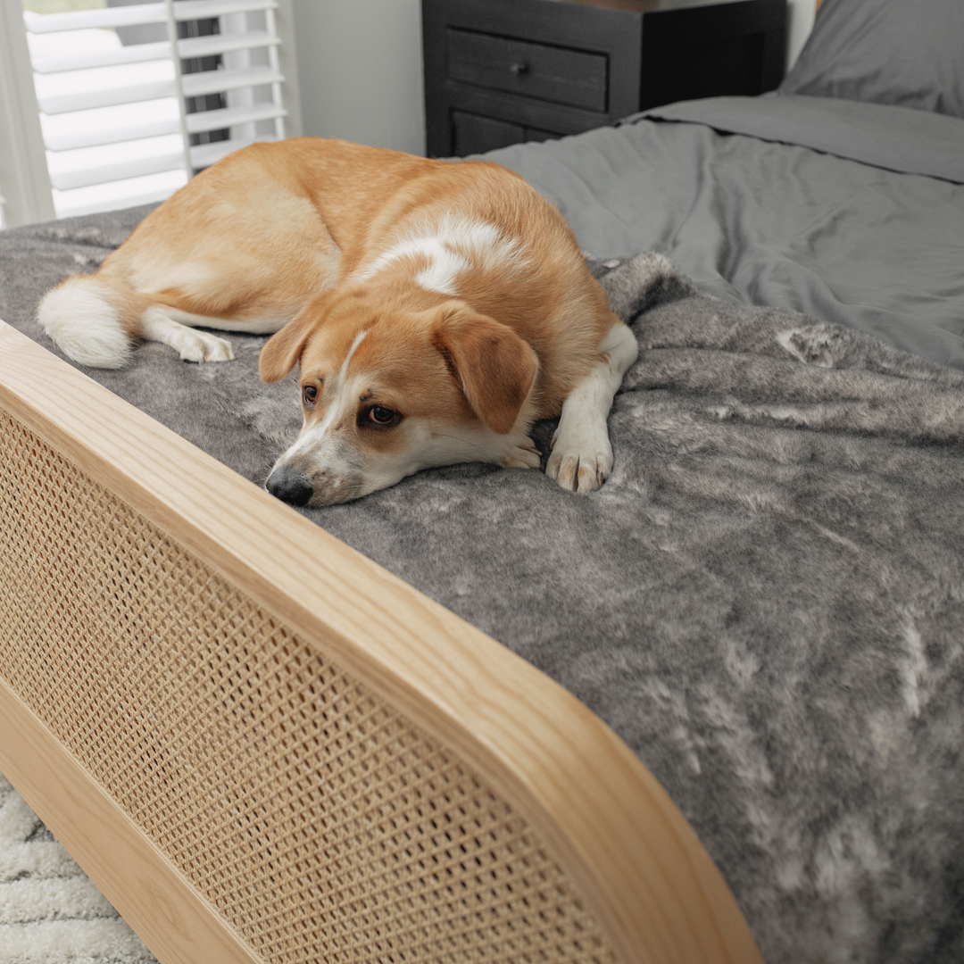 PupProtector™ Luxe Waterproof Bed Runner - Ultra Soft Chinchilla - - Dog Blanket by Paw.com