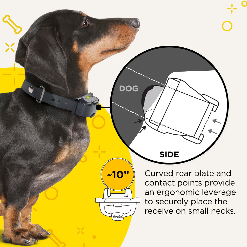 Dogtra iQ MINI E-Collar - - by Dogtra