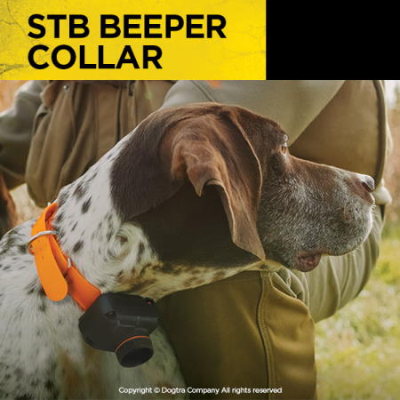 Dogtra STB Beeper Collar - - by Dogtra