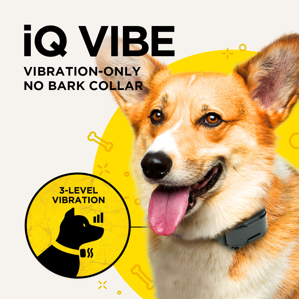 Dogtra iQ VIBE Collar - - by Dogtra